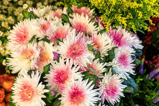 Blumenparadies Thone in Preetz Floristik Tischdeko 05