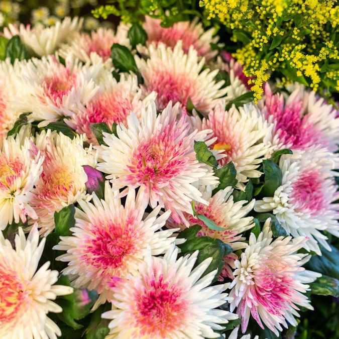 Blumenparadies Thone in Preetz Floristik Tischdeko 05