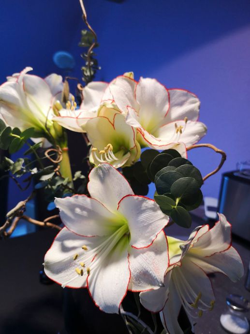 Blumenparadies Thone in Preetz Floristik Präsentstrauss 02